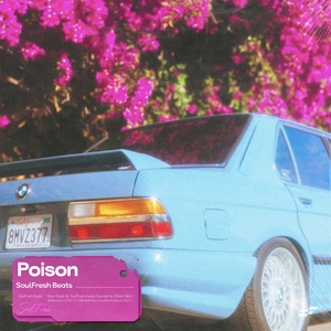 R&B Guitar Type Beat "Poison"