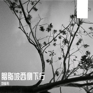 安眠吧西安，在这篝火旁