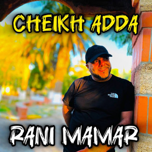 Rani Mdamar (Dj ba3oucha) [Live]