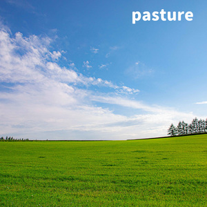pasture