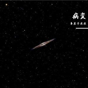 BINGBIAN病变
