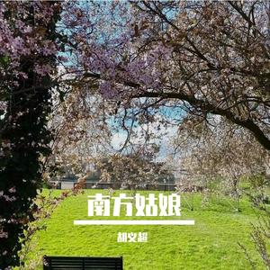 南方姑娘