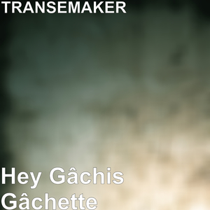 Hey Gâchis Gâchette