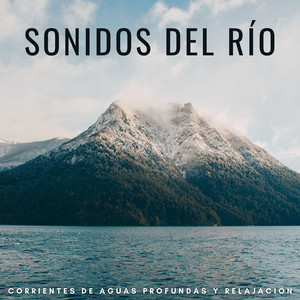 Arroyos De Diversión