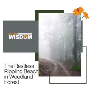 Iced Days Feeding Fire