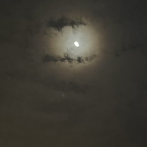 Free Beat说唱伴奏孟菲斯Trap匪帮