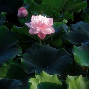 姐姐怎样都好看
