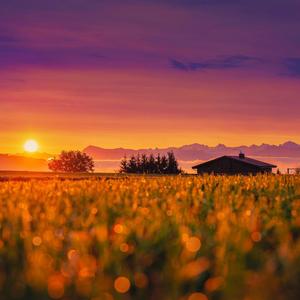 穏やかな朝の瞑想