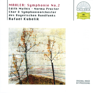 Symphony No.2 In C Minor - "Resurrection" - 1. Allegro maestoso. Mit durchaus ernstem und feierlichem Ausdruck