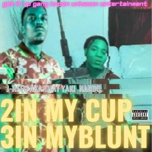 2IN MY CUP 3IN MY BLUNT (feat. Nando Nando)
