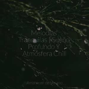 Escape Mistico Bajo la Luna