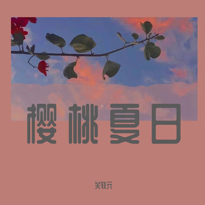 库克的胰岛素2