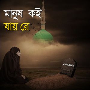 মানুষ কই যায় রে