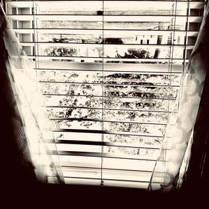 Always a Clydesdale, Never a Clyde