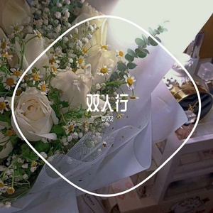 双人行