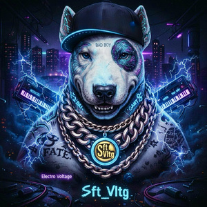 Sft_Vltg