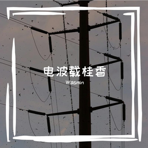电波载桂香