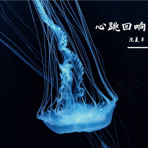 心跳回响