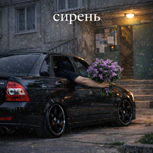 Сирень