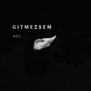 Gitmezsem