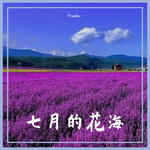 七月的花海