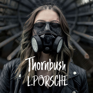 Thornbush