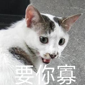 还不是因为你长得不好看（翻自 王梦茹）