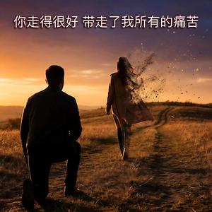 你走得很好 带走了我所有的痛苦