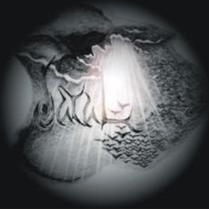 Eternal Beauty of the Trees