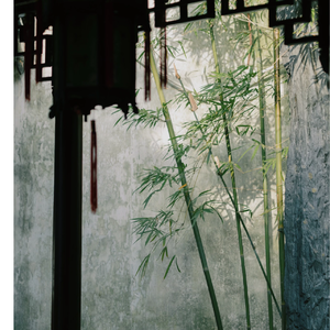 【Free】”牡丹花下死“Chinese X Gunna Type Beat