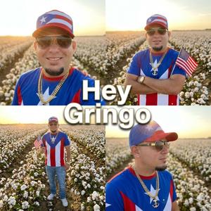 Hey Gringo