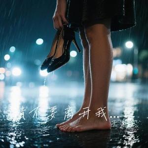 请不要离开我 (Cover 金润吉)