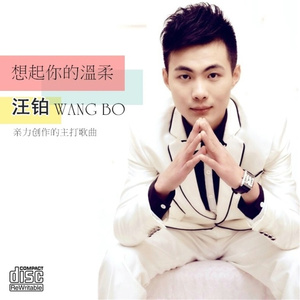 想起你的温柔