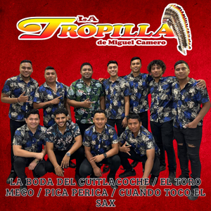 La Boda del Cuitlacoche / El Toro Meco / Pica Perica / Cuando Toco el Sax