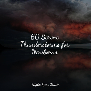 Rain, Vegetation, Wood, Heavy Wind