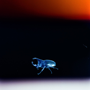 Первобытное