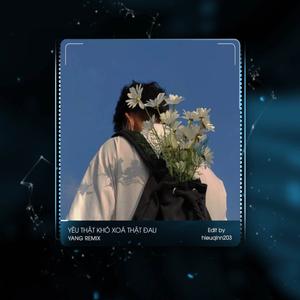 Yêu Thật Khó Xoá Thật Đau (Yang Remix)