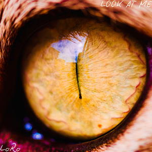 LOOK AT ME