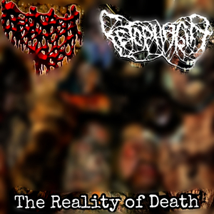 Decomposing Organism