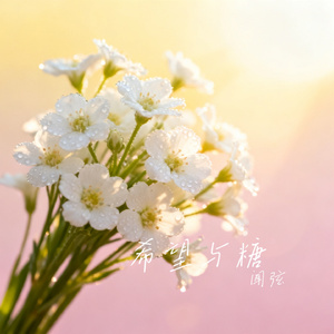 希望与糖
