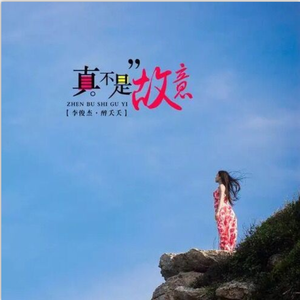 真不是故意 -醉夭夭 李俊杰