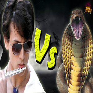 Heropanti VS Nagin Hard Electronic DJ Flute Mix