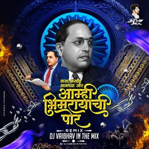 Nasa Nasat Aamchya Jor Aamhi Bhimrayachi Por Dj Song