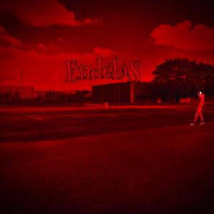 EndeløS