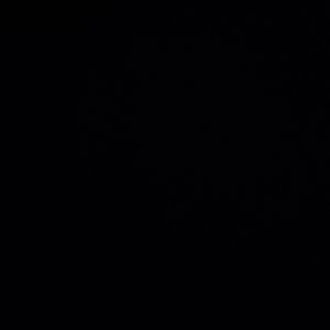 弃曲（早期作品）