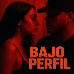 Bajo Perfil