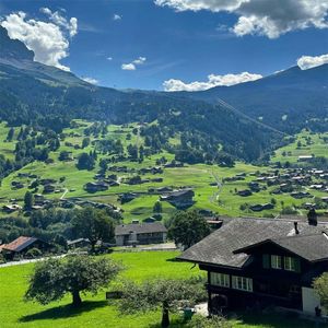 孤独彷徨在街头