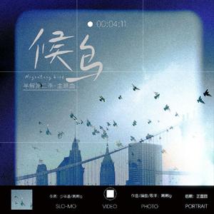 广播剧半解第二季主题曲-候鸟