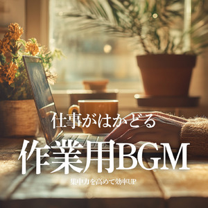 Comfort and security