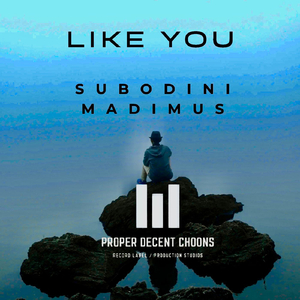 Like You (Vocal Original Mix)